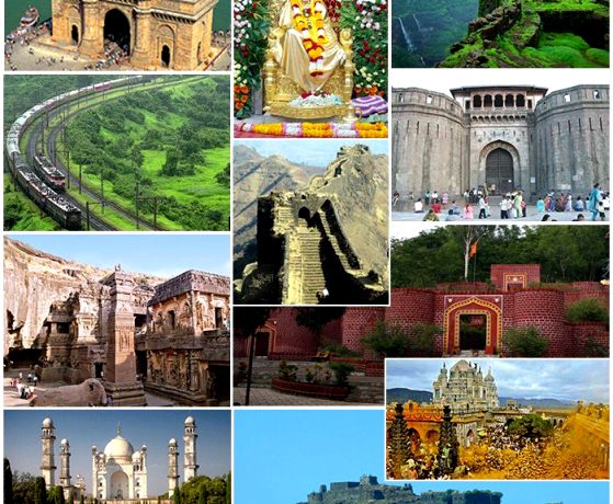 About Apex Tour Udaipur